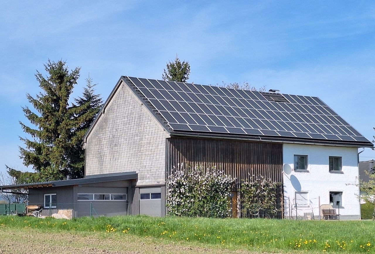 Garagentor Holz