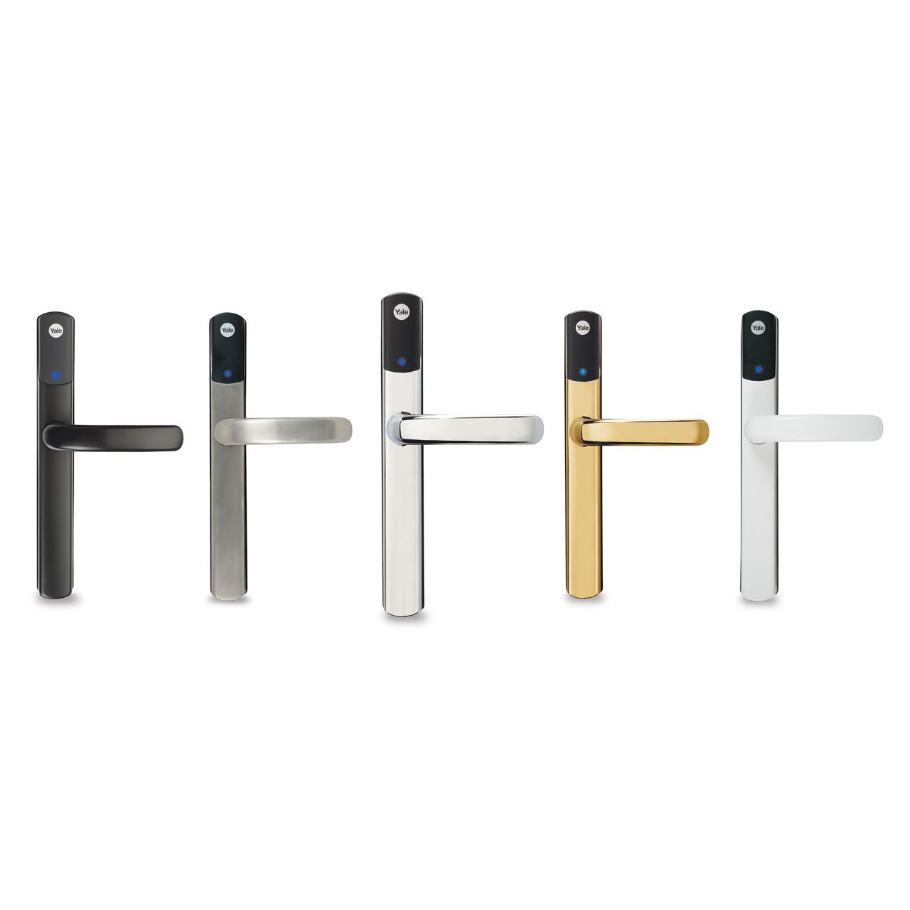 Image: No description