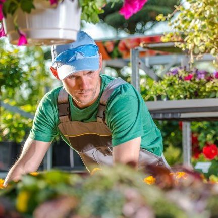 Alle porte har brug for en upgrade en gang i mellem