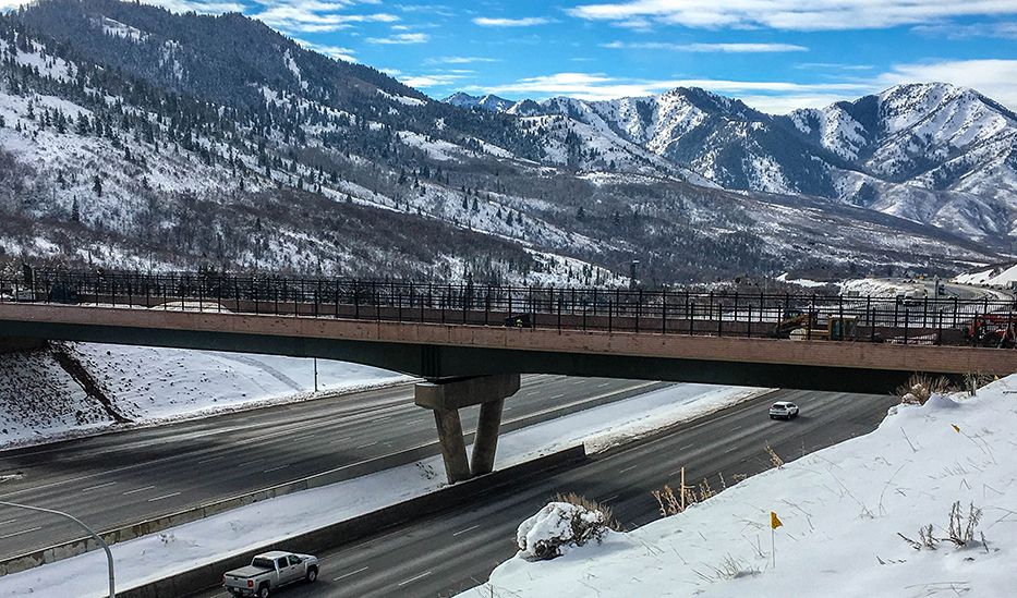 Aegis II Xtreme installed on a wildlife bridge in Utah.