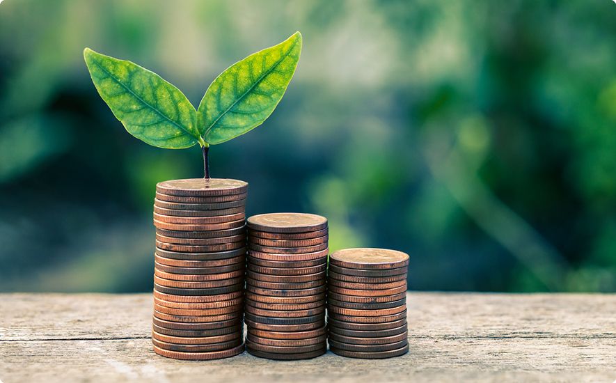 Green leaf growing from a pile coins