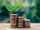 Green leaf growing from a pile coins