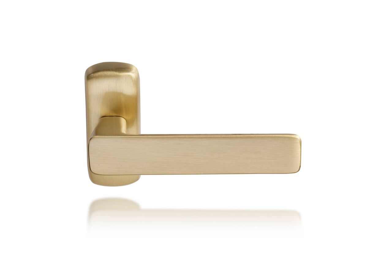 Image: No description