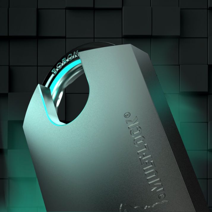 Image: G padlocks 1.png