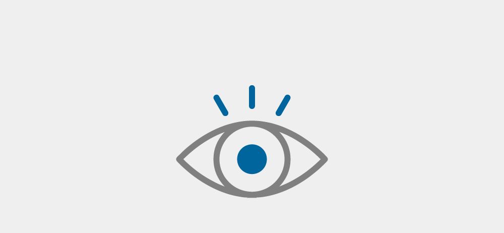 Visibility icon