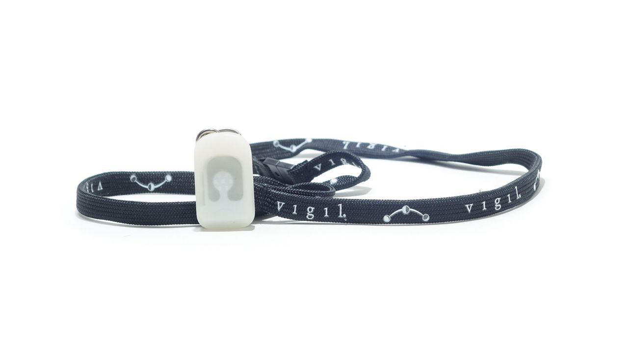 vigil pendant on a plain white background