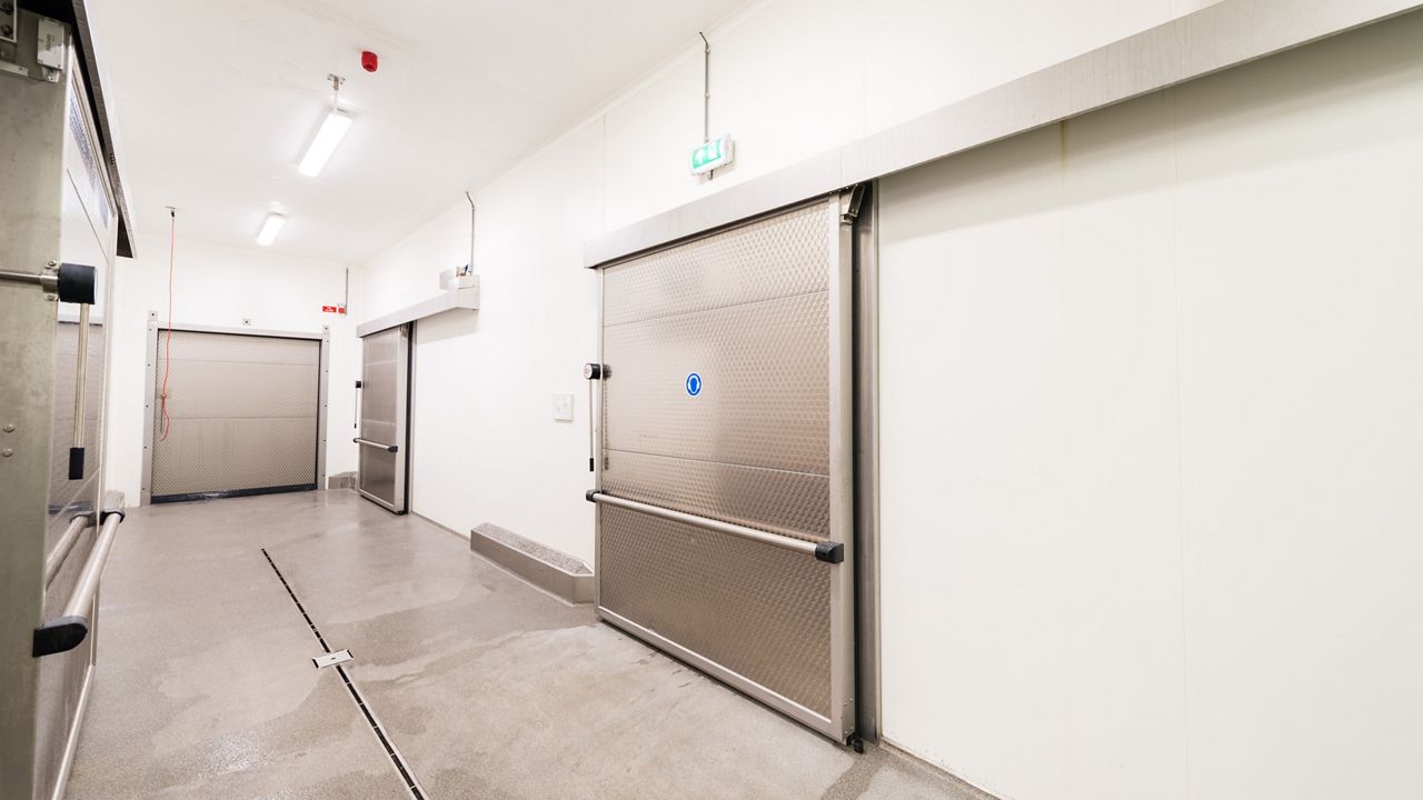 The ASSA ABLOY CI Polaris Chiller is an industrial sliding door designed for use in refrigerated environments.