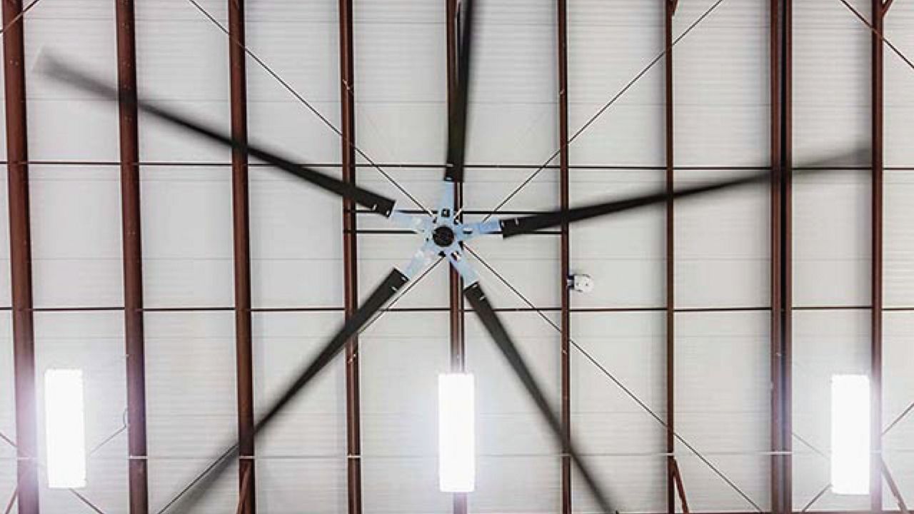 A fan with 5 black blades and a silver center hanging from a white ceiling