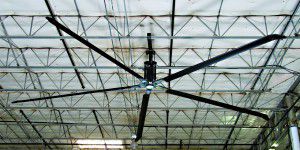 Close up of a black and silver fan on a white ceiling with metal rods