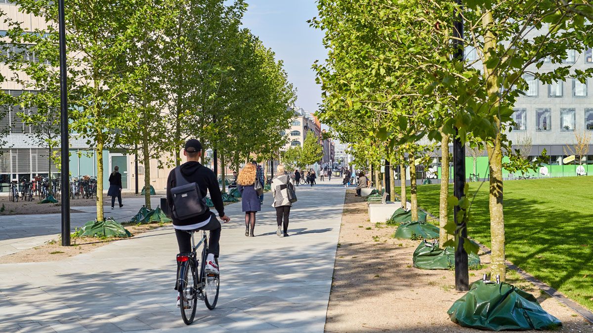 Københavns universitet