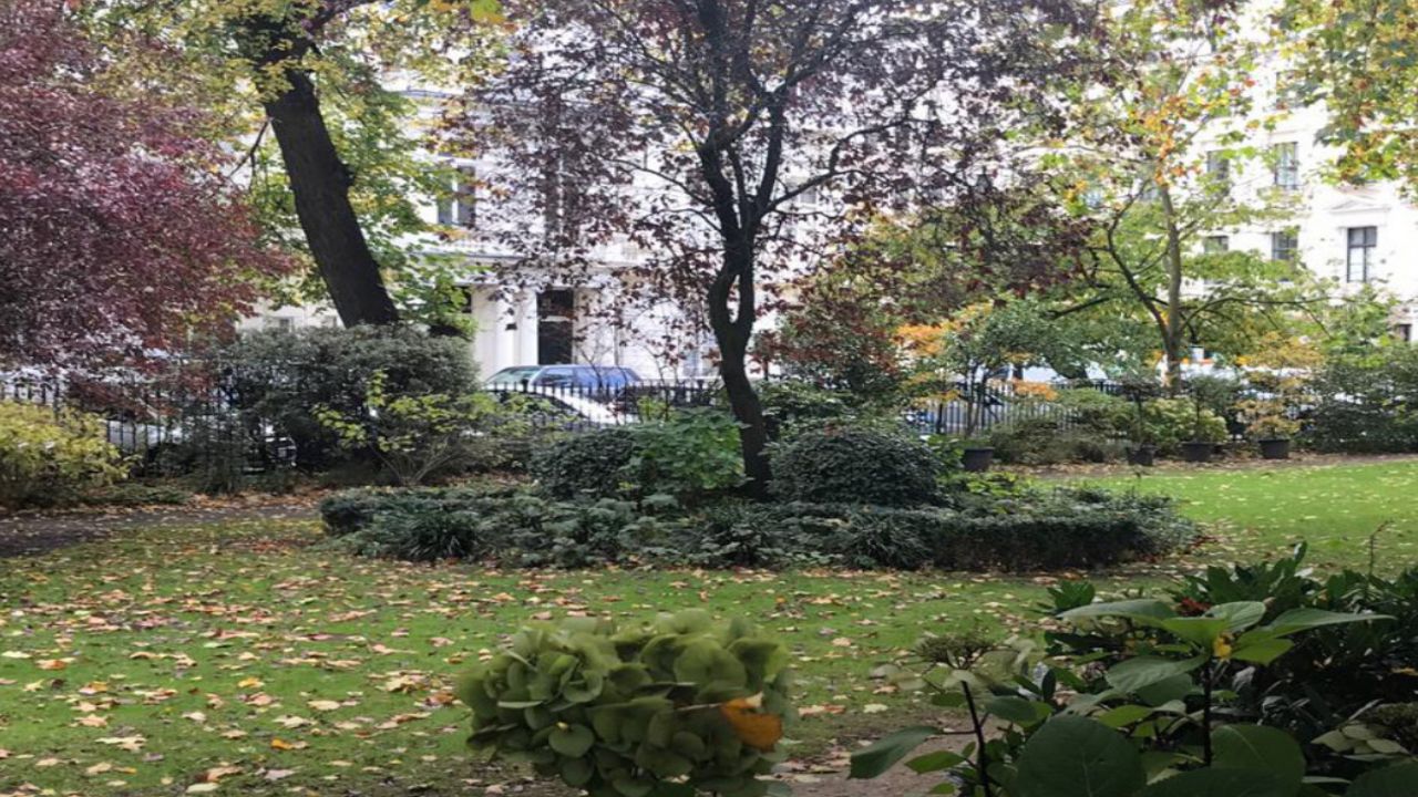Zahrady Leinster Square
