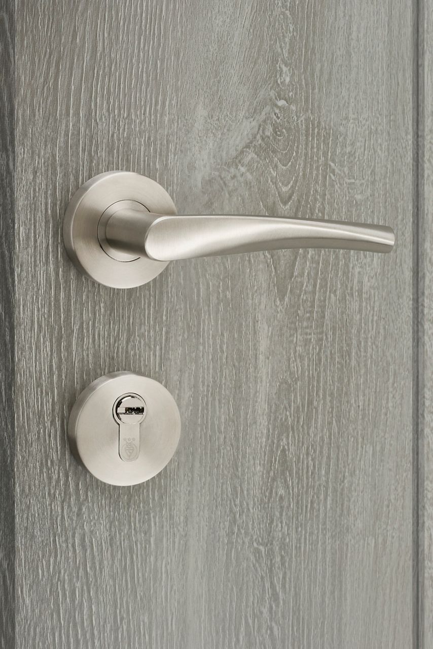 Supa Lever on Rose Brushed Stainless on a door