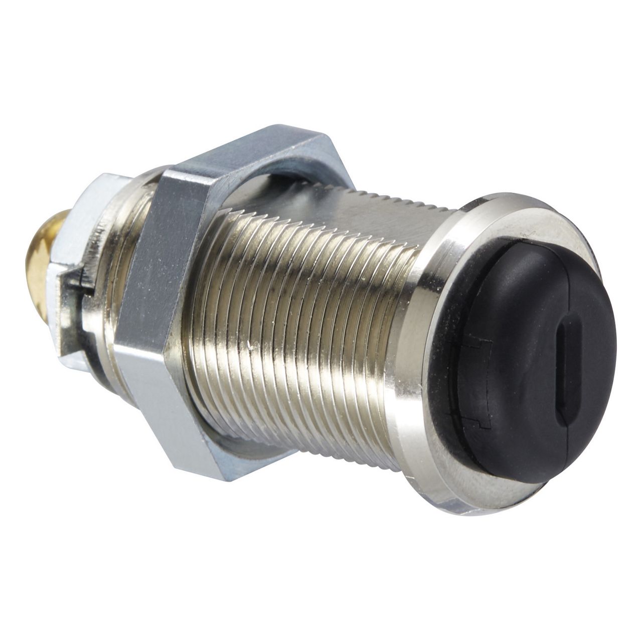 Image: No description