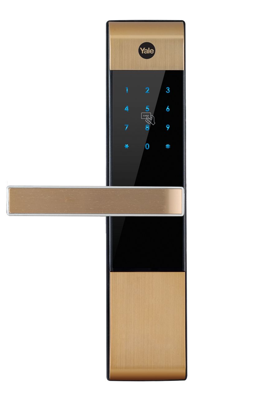YDM3109A_gold