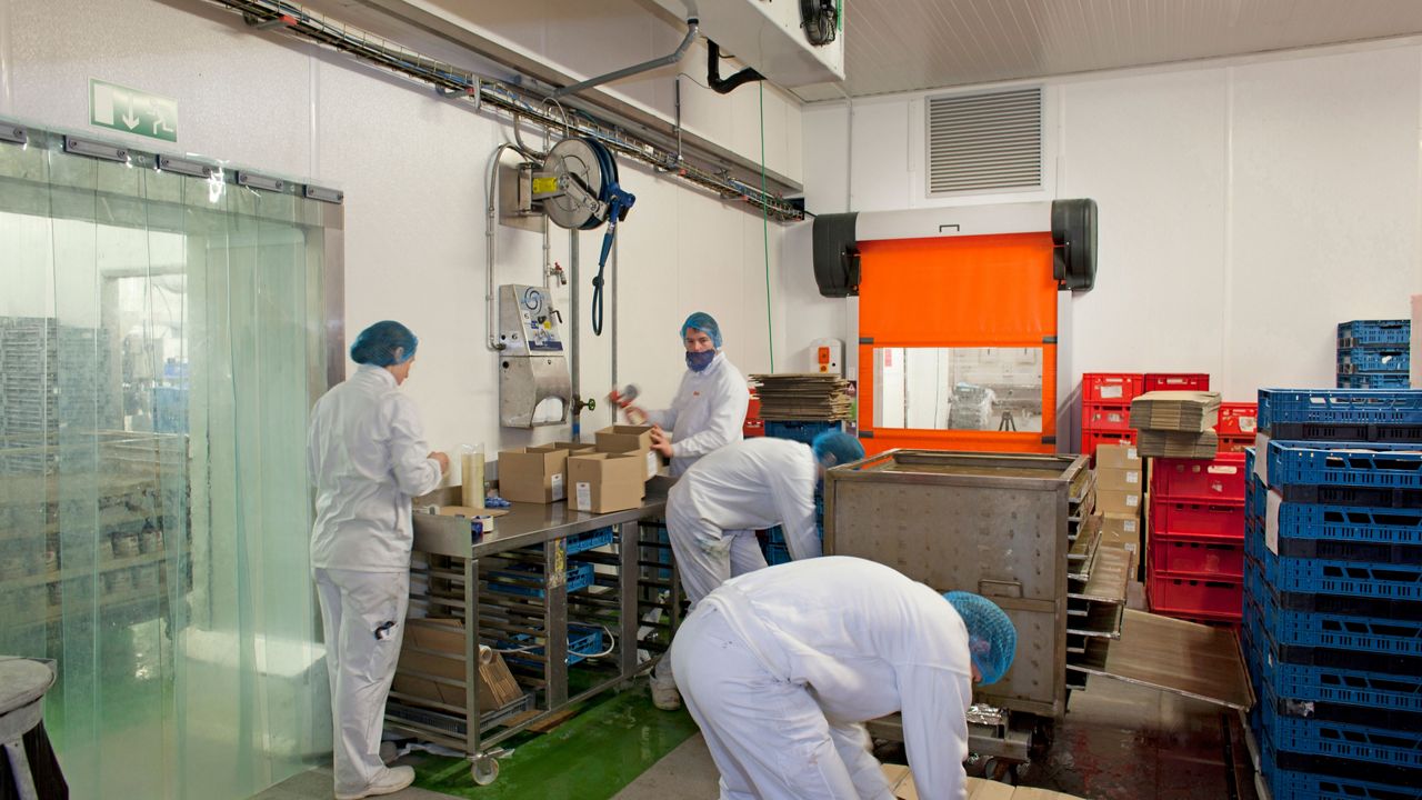 Worker in a food factory with a orange high-speed door in the background.