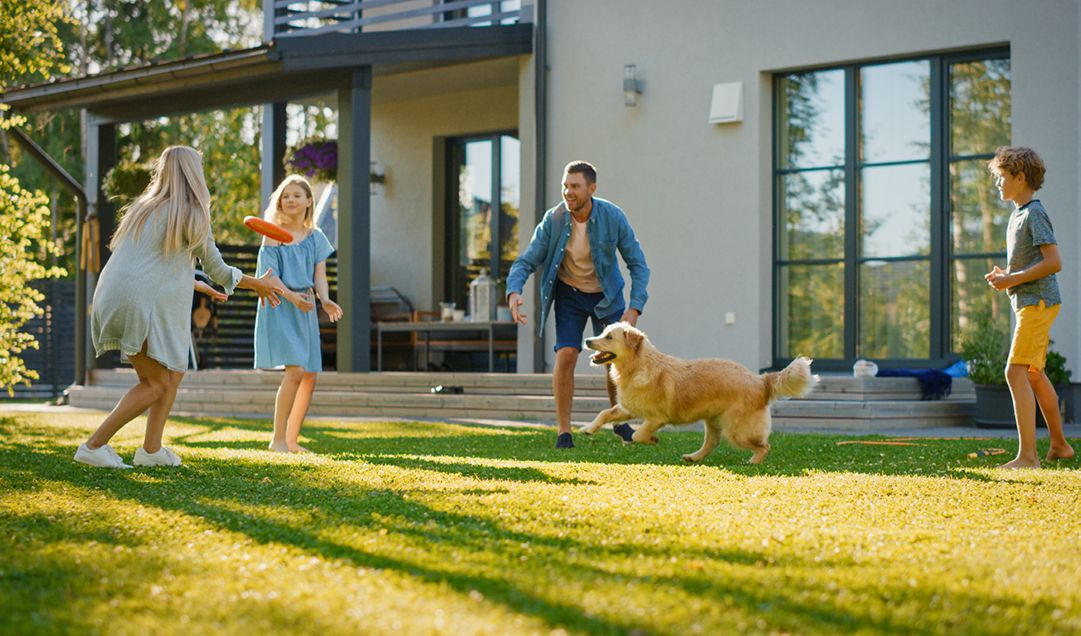 A family and their dog playing outside with a frisbee.