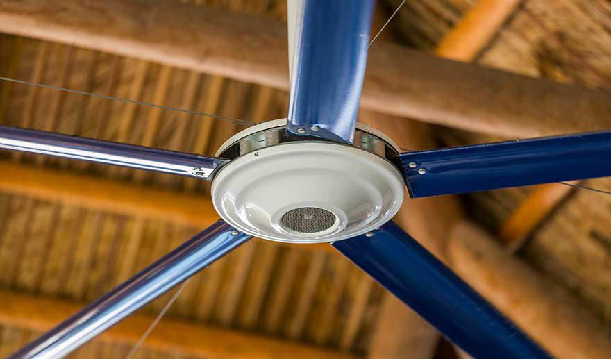 Close up of a blue fan with a white center on a wooden ceiling 