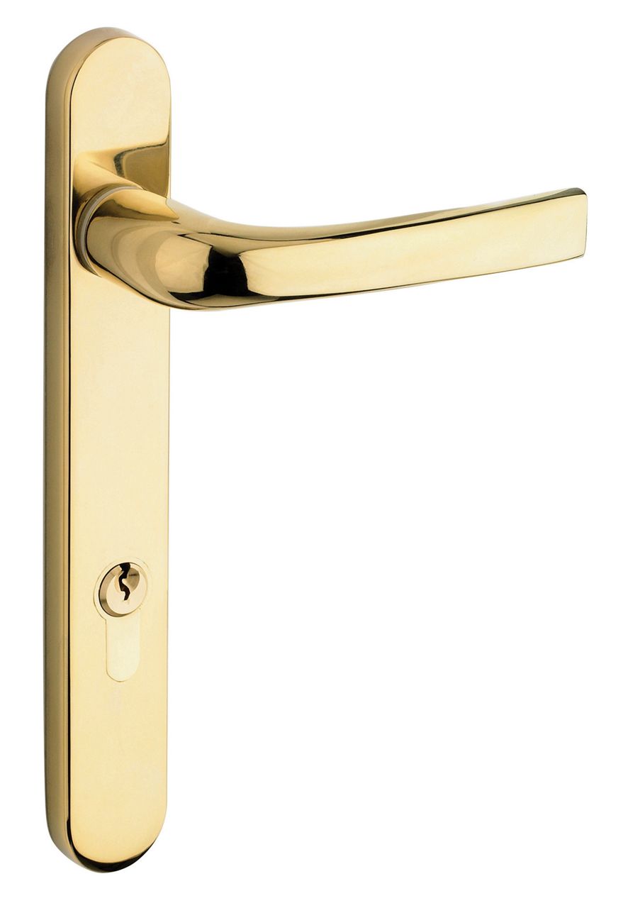  ProLinea Door Handle Lever Lever and Lever Pad