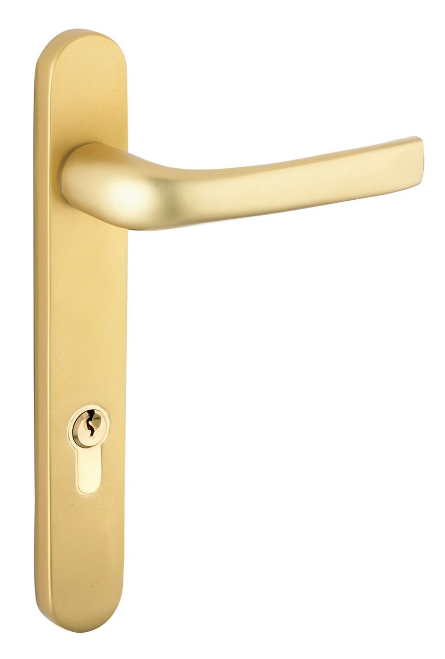  ProLinea Door Handle Lever Lever and Lever Pad