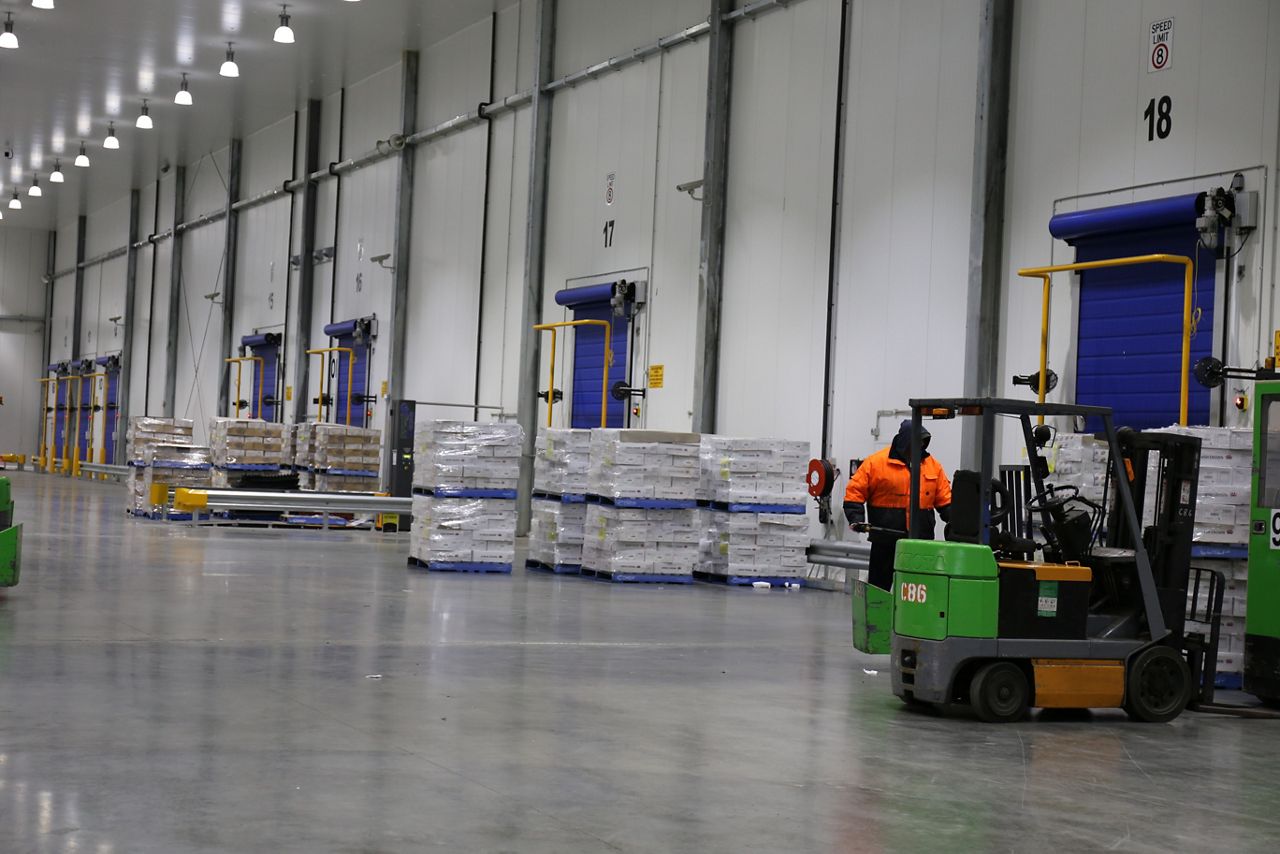 Image: 스피드도어 RR300 Chill-Freeze