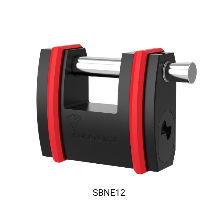 Image: SBNE12 TEXT.png
