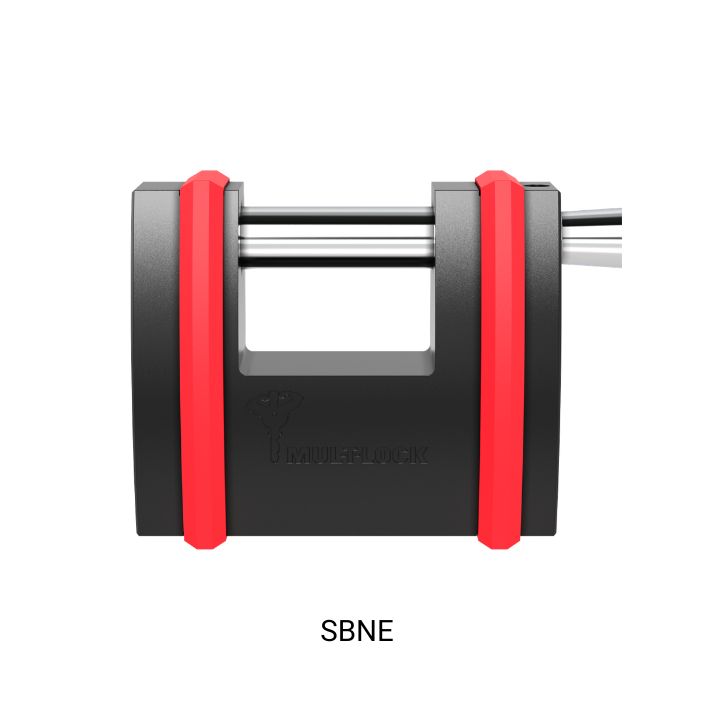 Image: SBNE12_10 TEXT.png