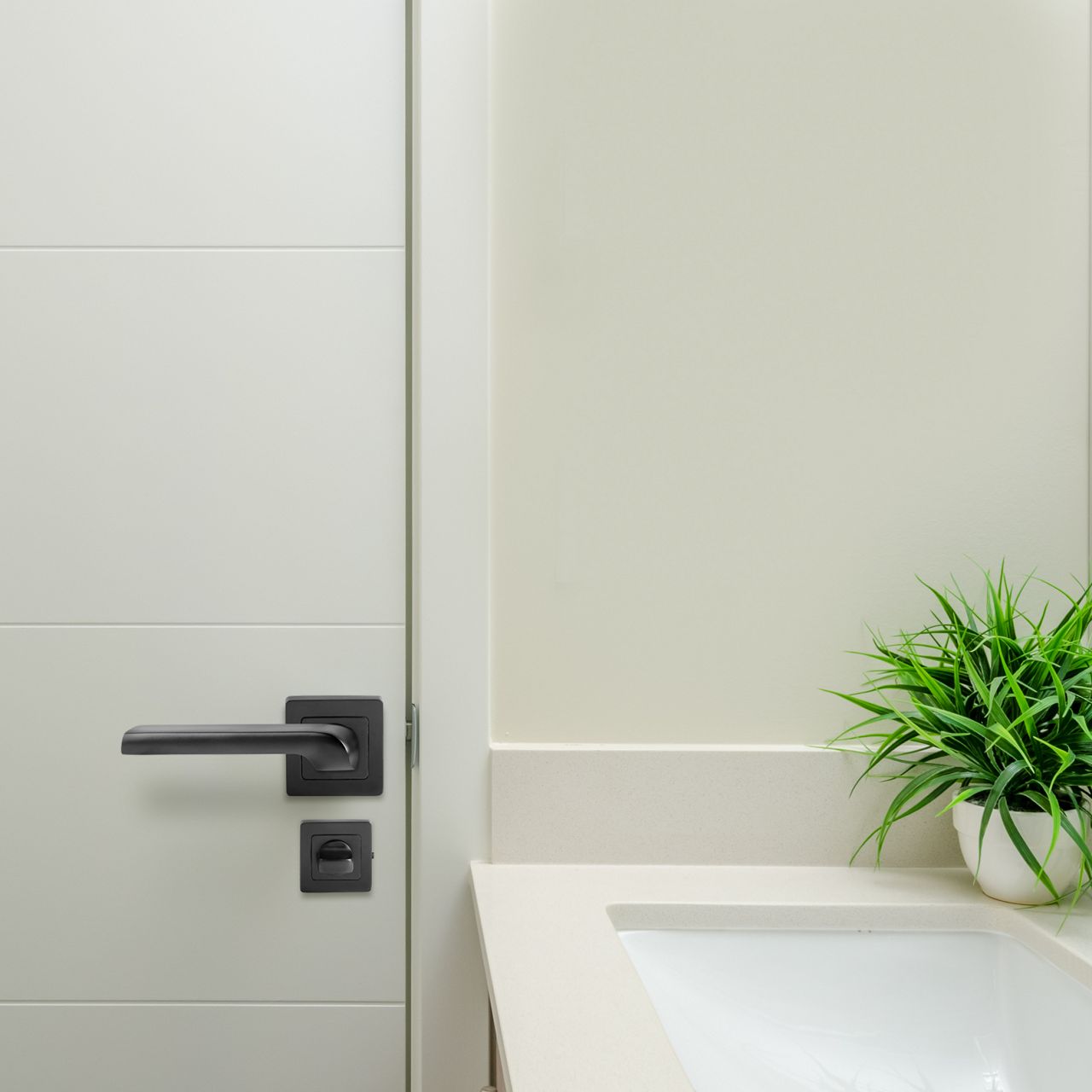 Image: No description