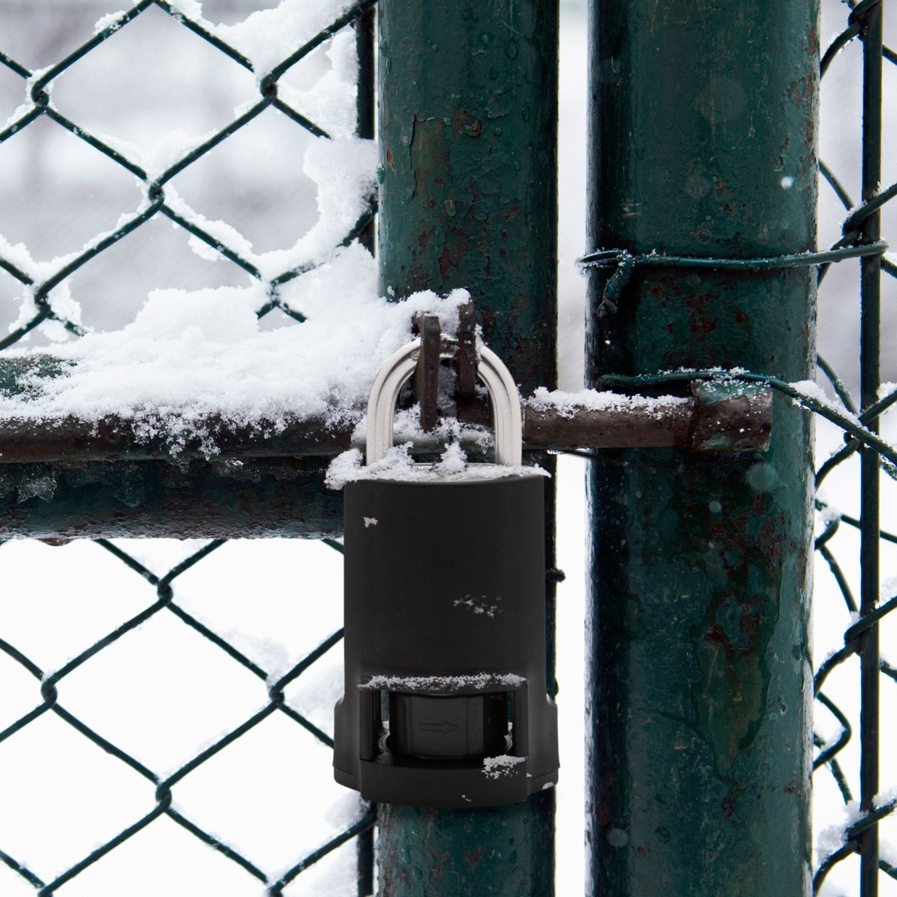 Image: Resistant to the toughest climate conditions