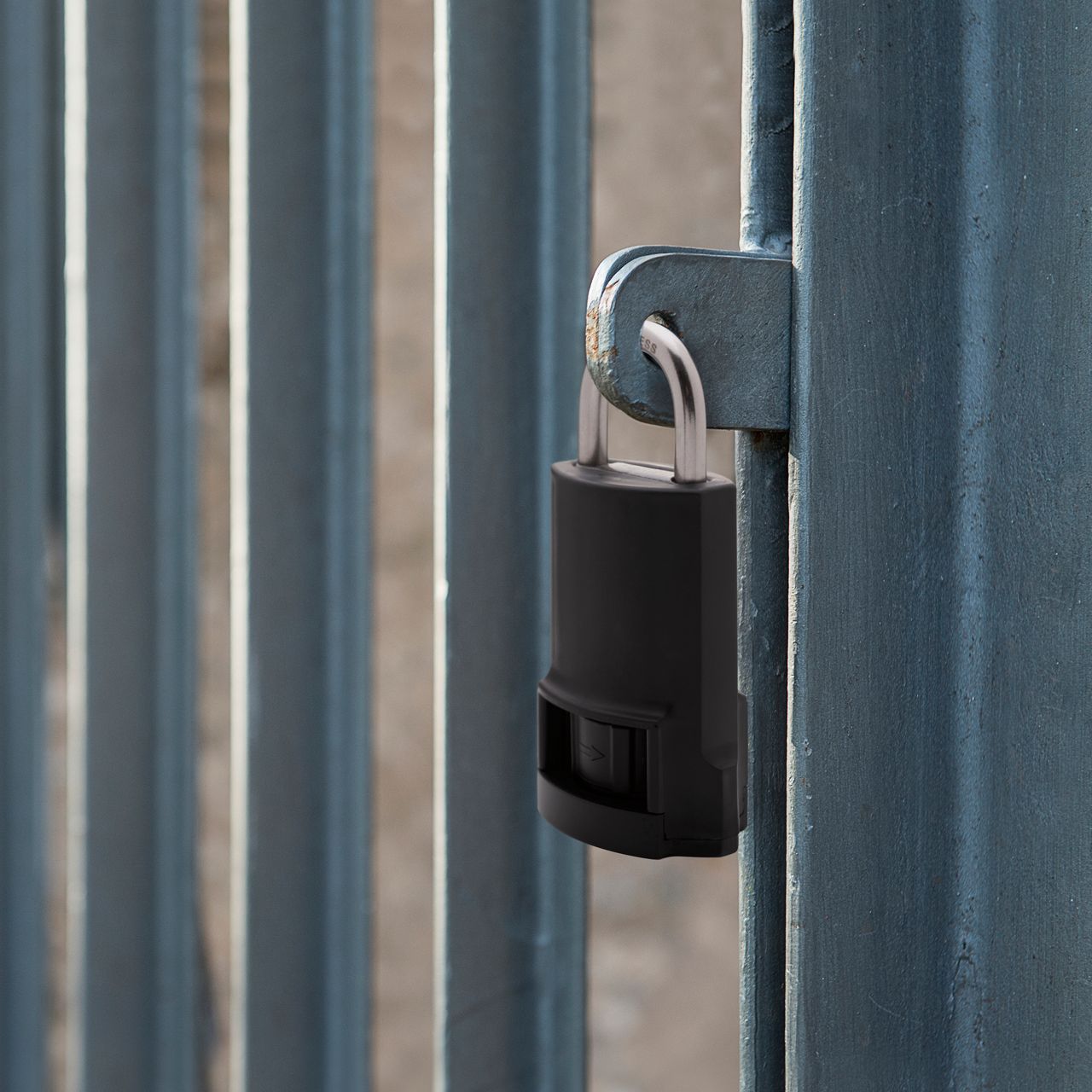 Image: Suited locking exterior, non-electrified gates