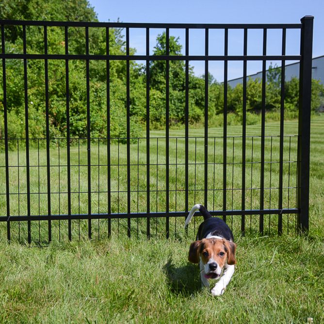 Jerith SafetyPup Mesh