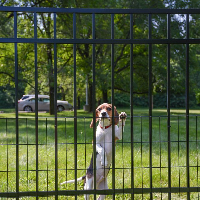 Jerith SafetyPup Mesh