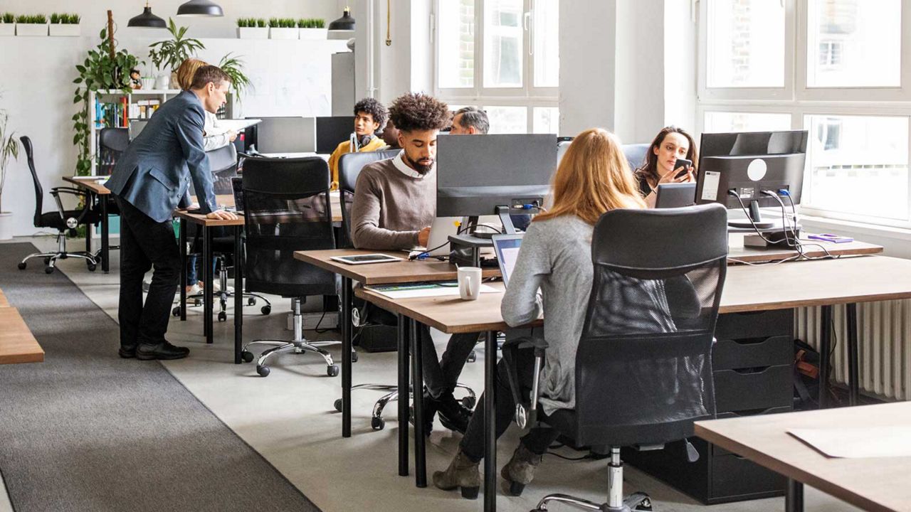 An office full of employees