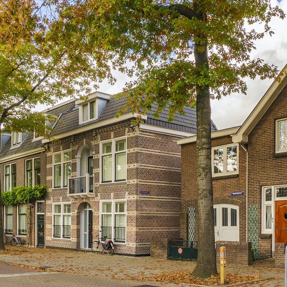Woonhuizen langs een straat met bomen