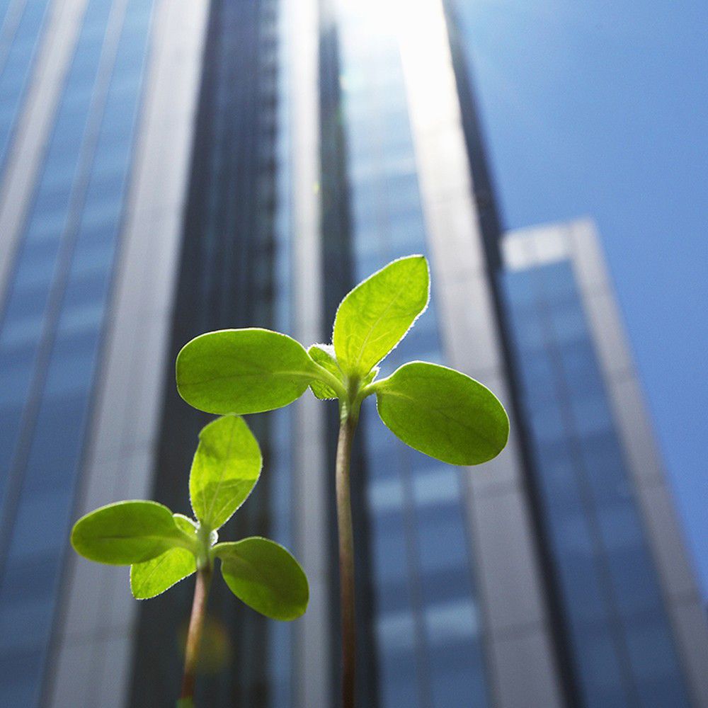 Contrôle d'accès sans fil