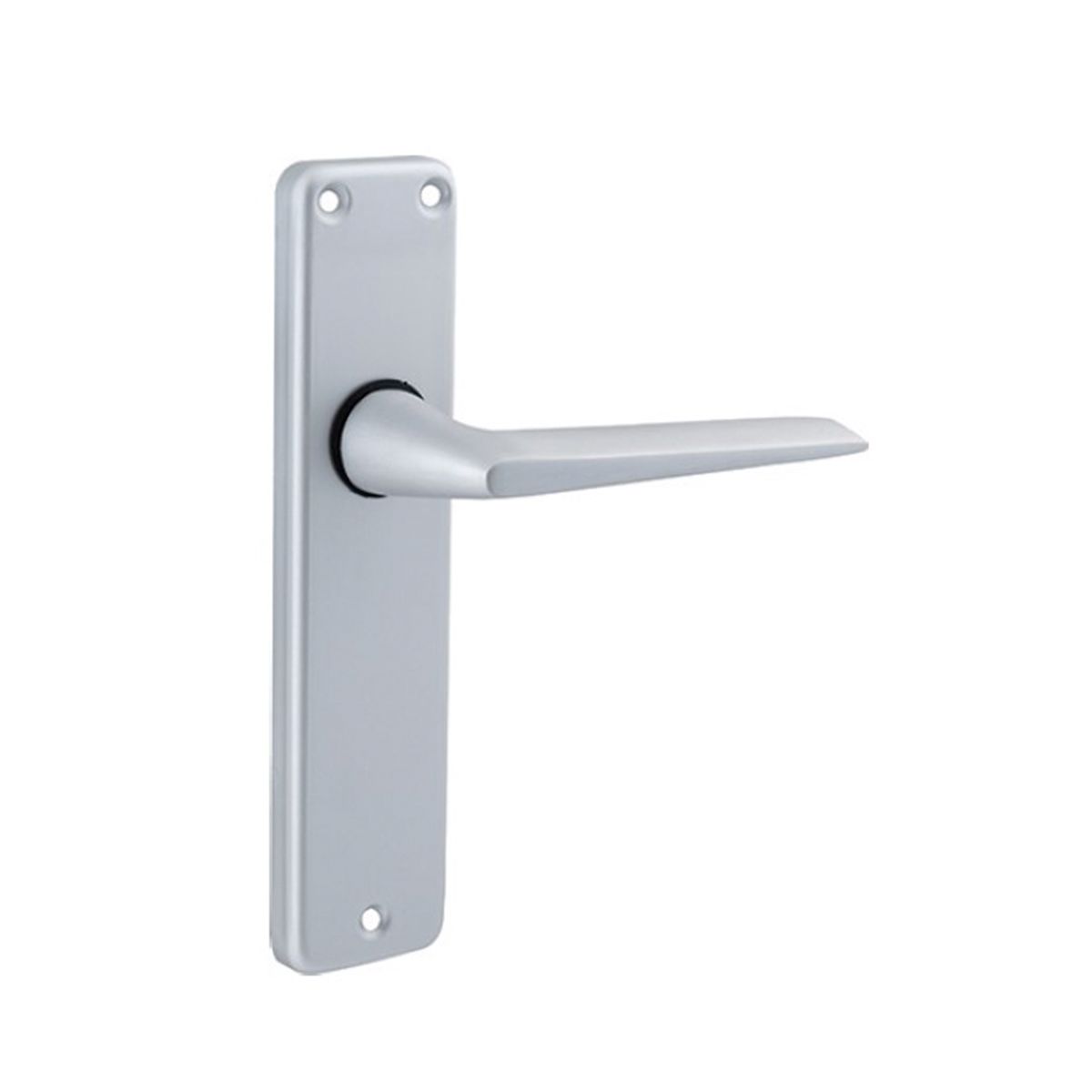 Image: No description