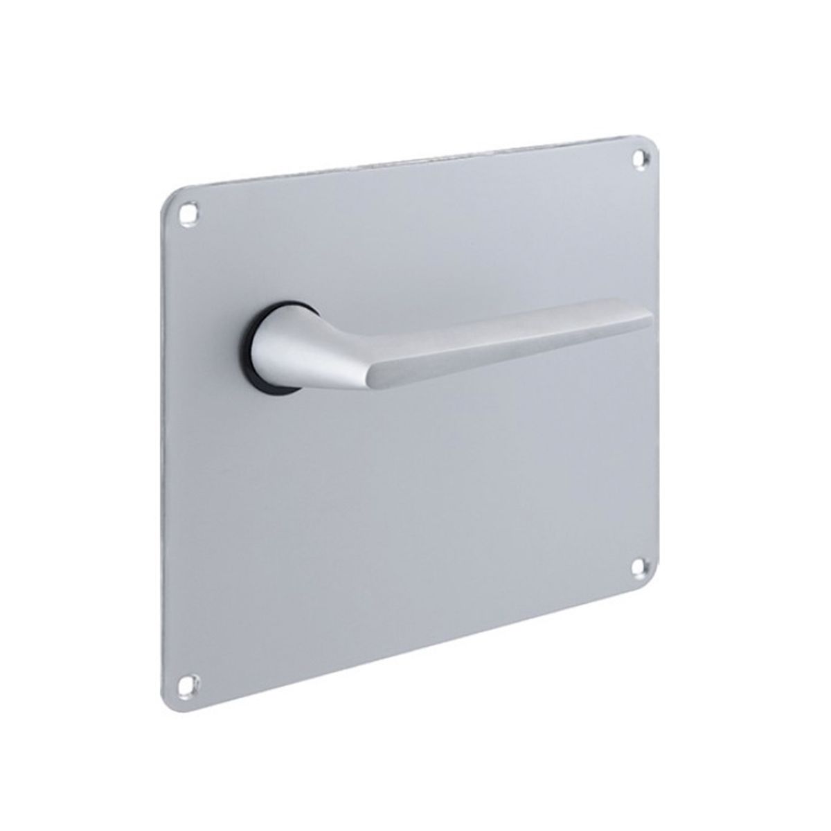 Image: No description