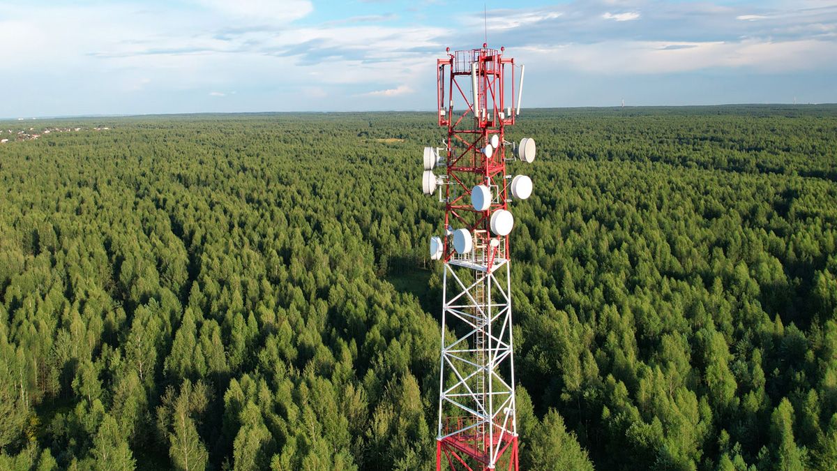 En telemast står i en skov