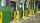 A line of green vertical storing loading docks inside of a warehouse