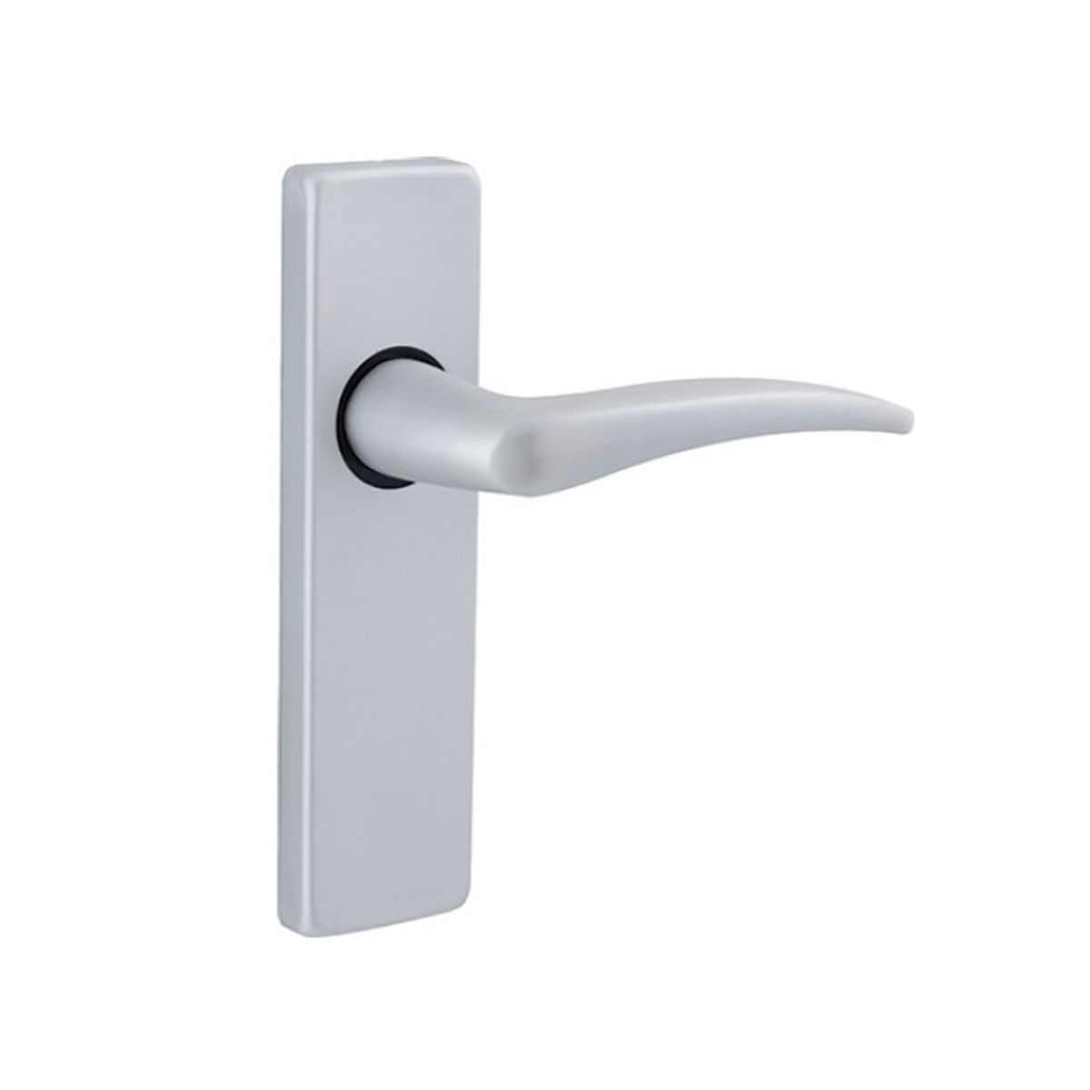 Image: No description