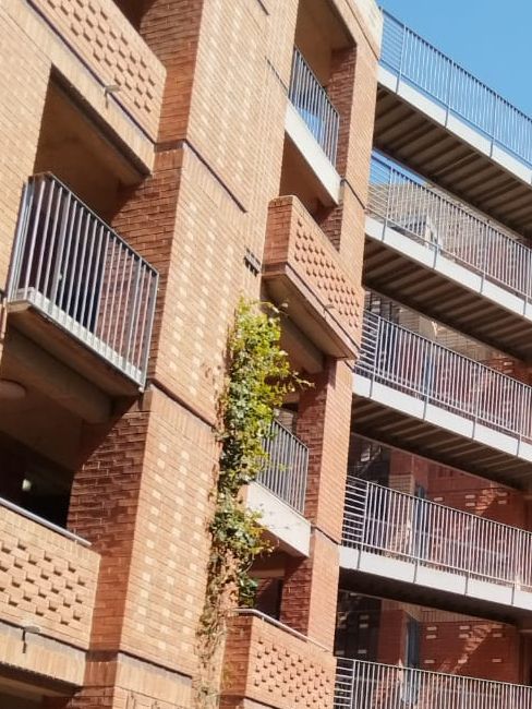 Wits University Secures Student Residences with ASSA ABLOY’s Union branded Campus Handles