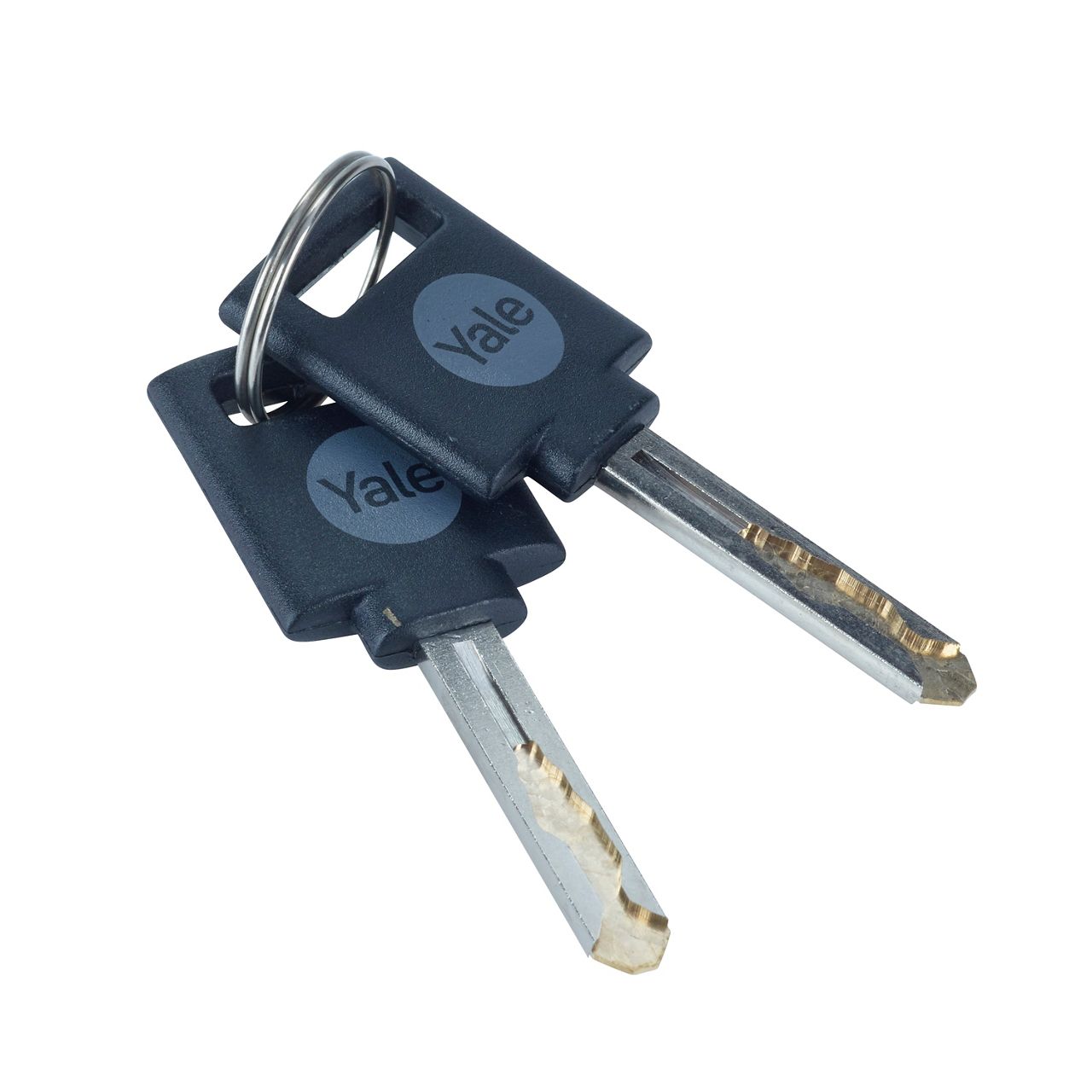 Image: No description