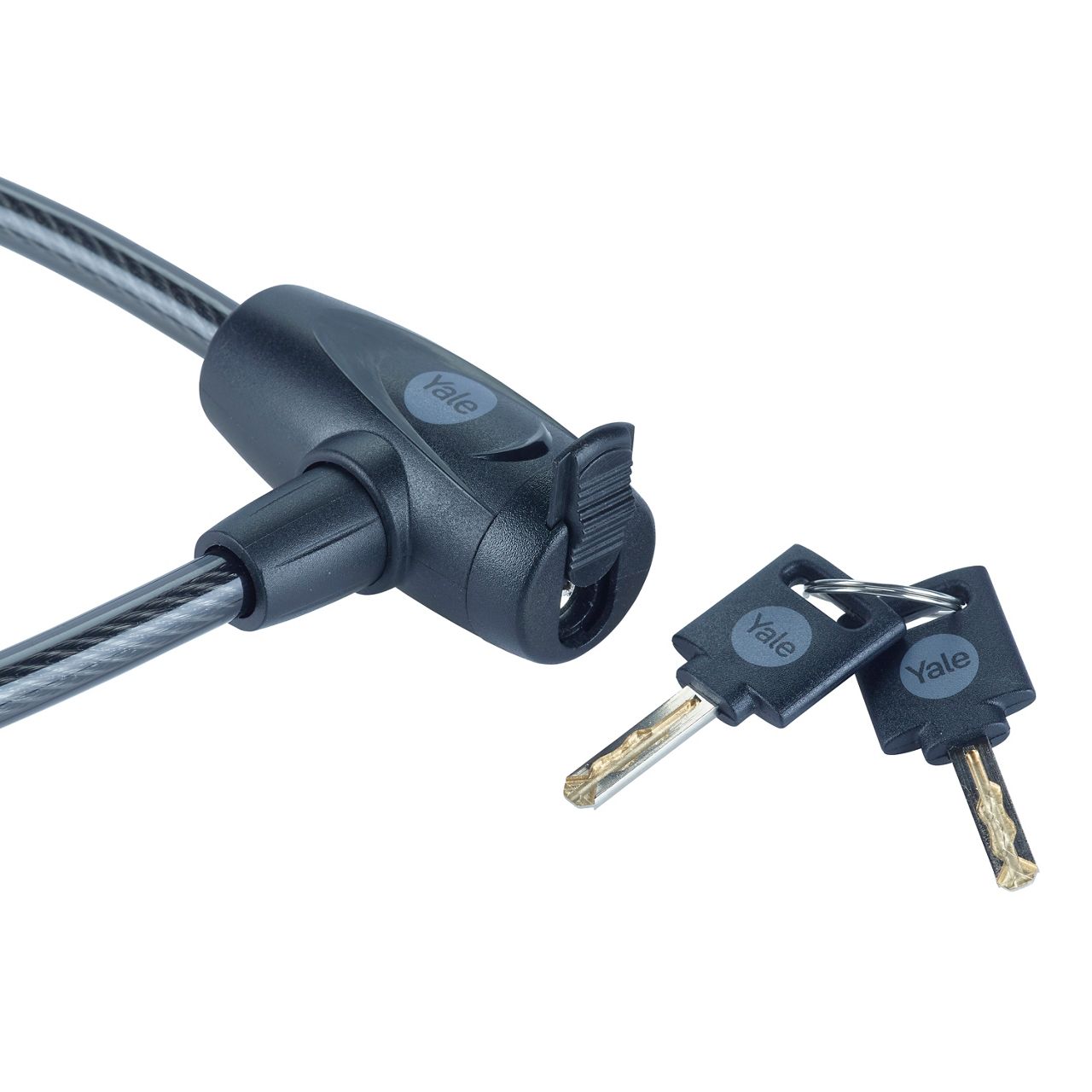 Image: No description