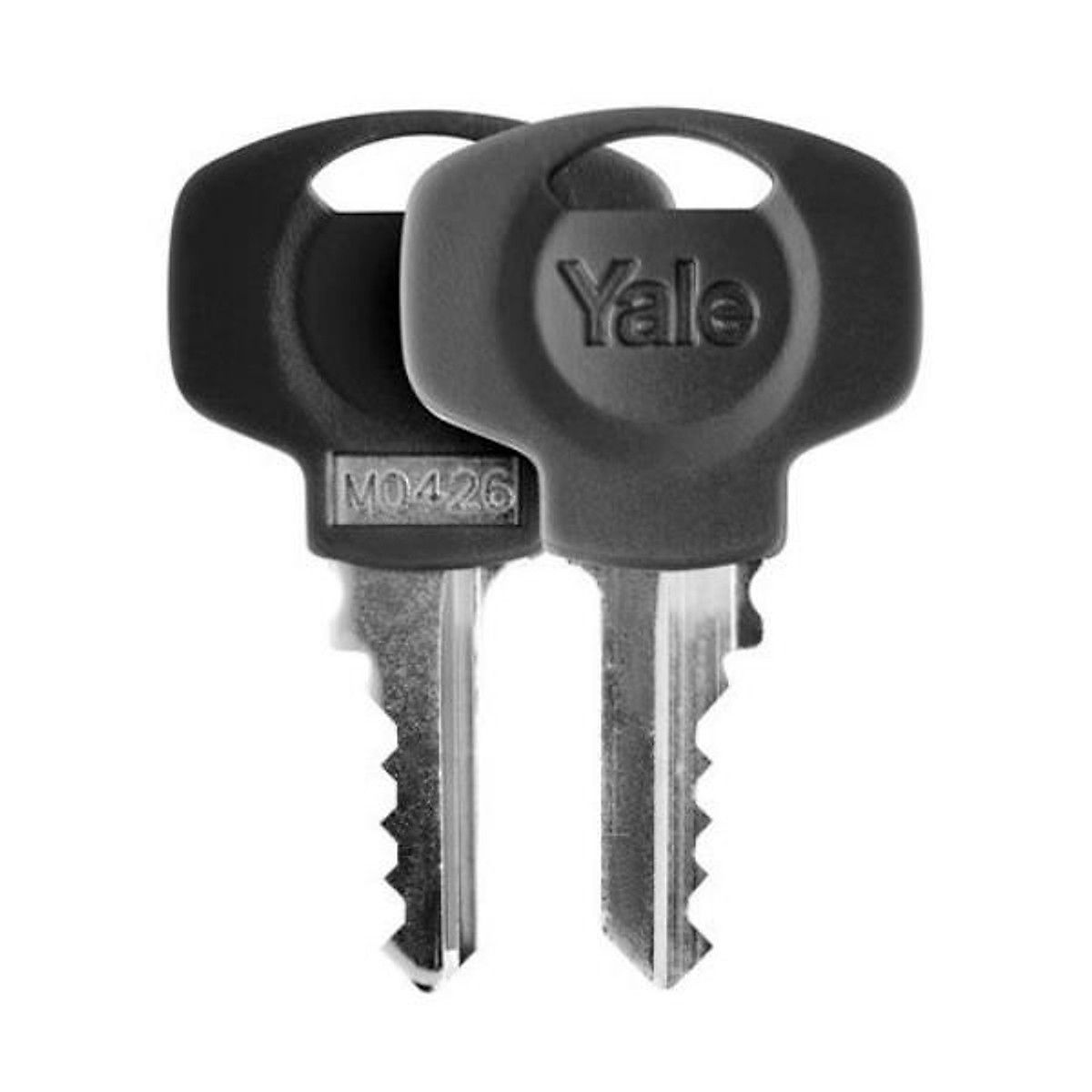 Image: YCL1-10-80_7