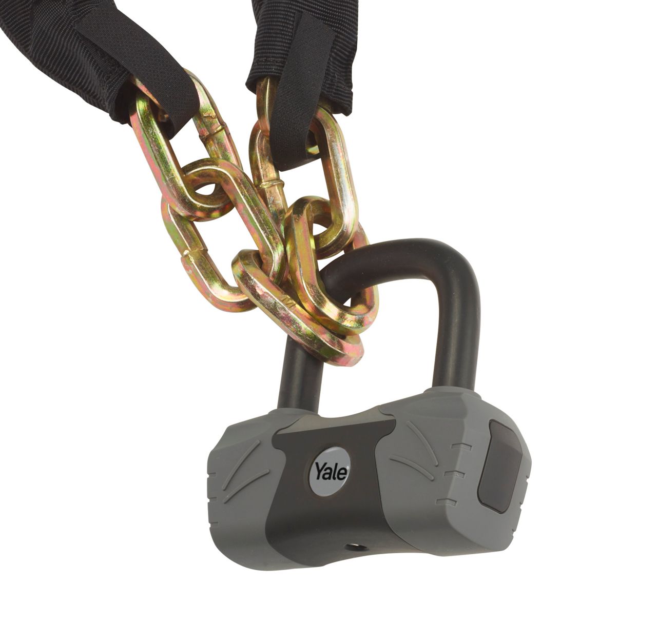 Image: No description