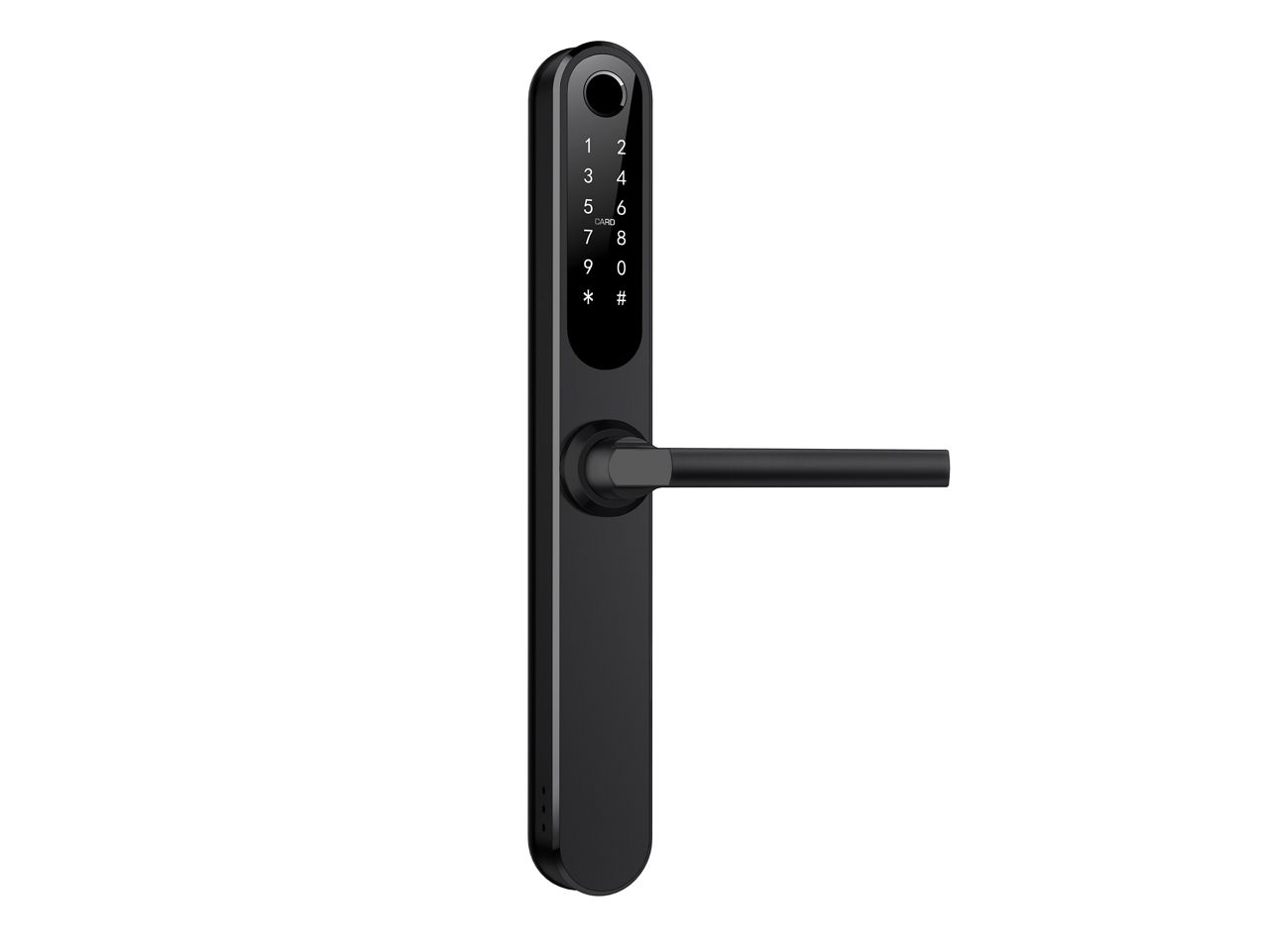 Image: No description