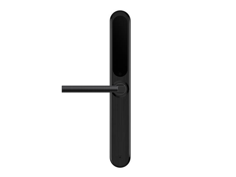 Image: No description