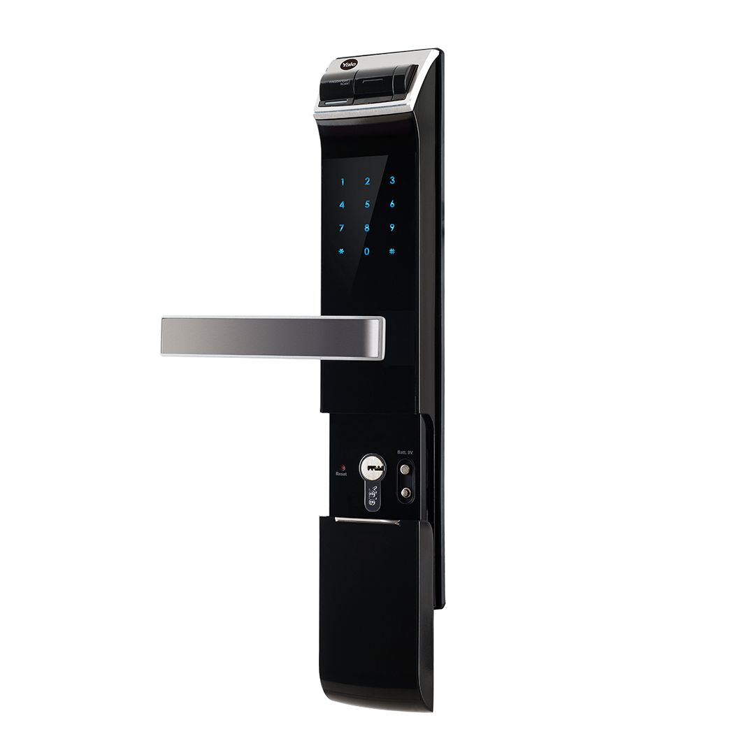 Image: No description