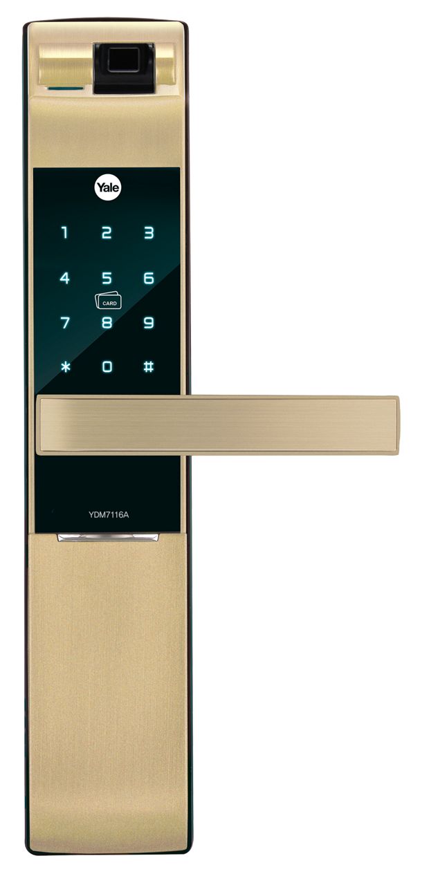 Image: YDM7116A Champagne Gold