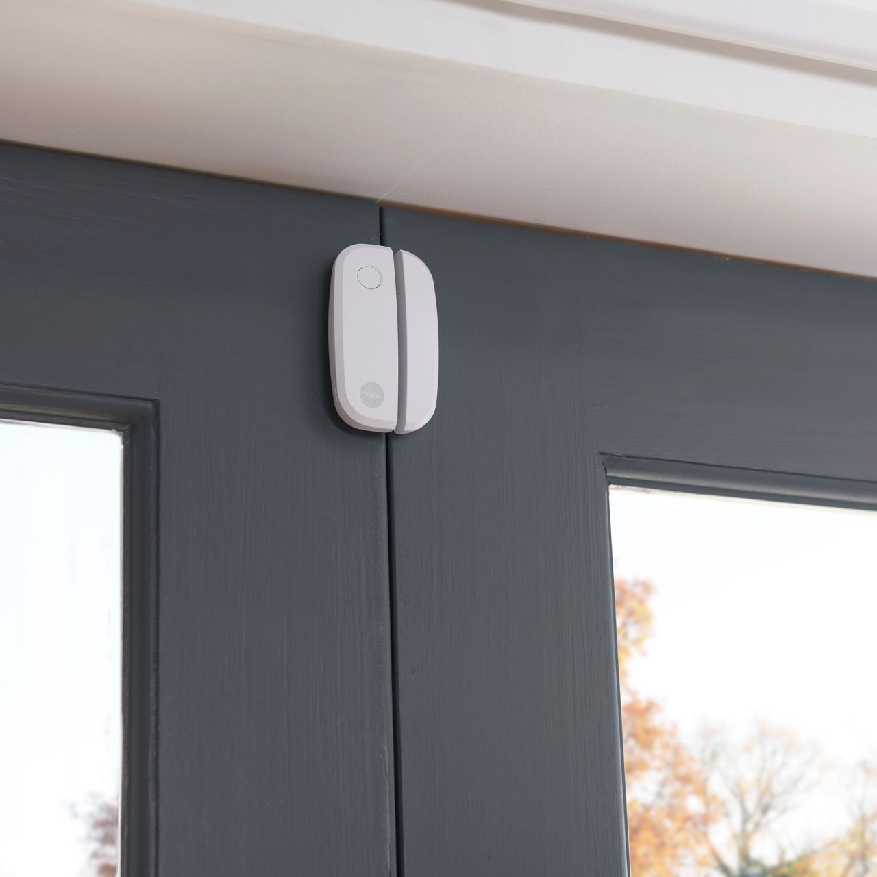 Image: No description