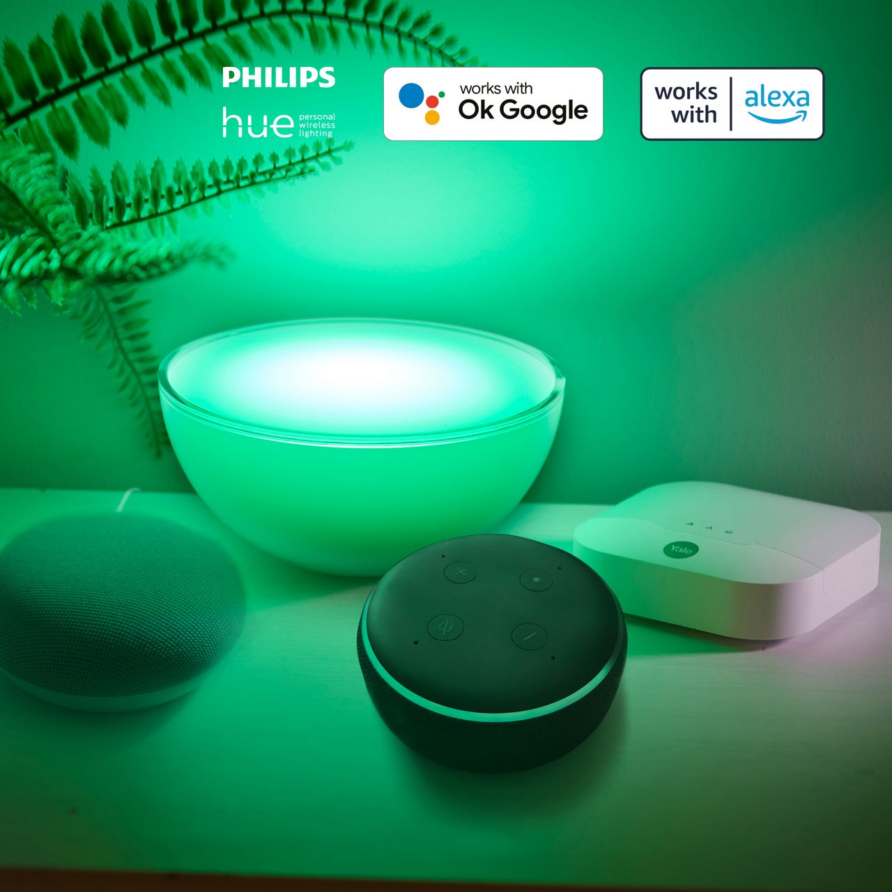 Image: No description